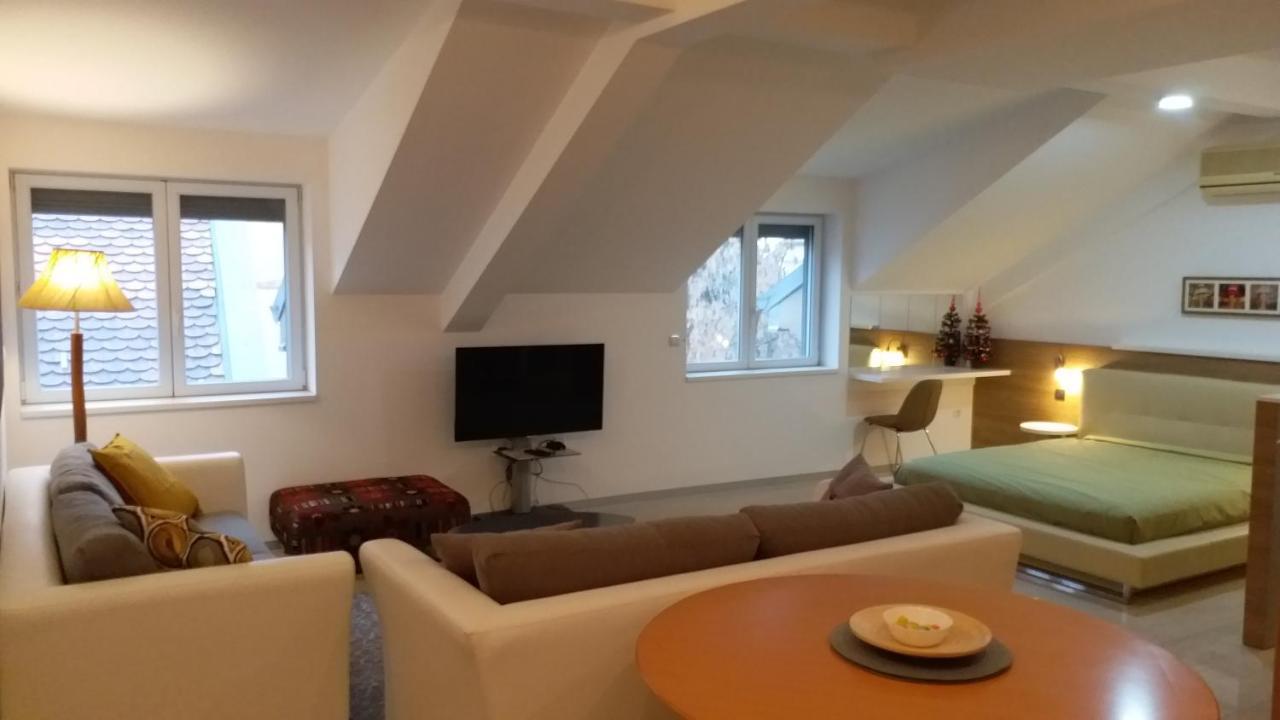 Centar Lux Vrsac Apartment Luaran gambar